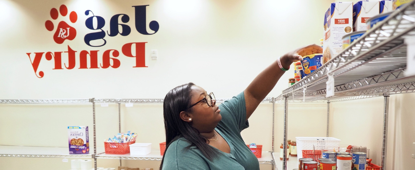 Student stocking food in JagPantry.